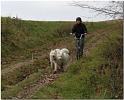 Tour Taunus 296